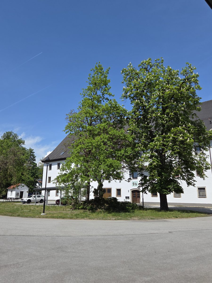 Wohnanlage Marienthal — Aufnahme 25, Mai 2026